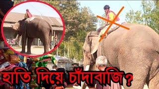 Horrible scene of toll collection by elephants Elephant rampage ASRAFULOFFICIALBDso5rd [upl. by Ylrebmik]