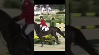 Hickstead ❤️❤️❤️ horse equestrian hickstead [upl. by Silden]