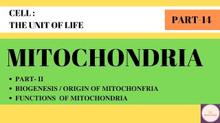 MITOCHONDRIA  BIOGENESIS AND FUNCTIONS OF MITOCHONDRIA  PART14  CELL THE UNIT OF LIFE [upl. by Kos522]