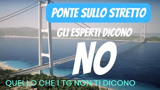 Ponte sullo Stretto una commissione di esperti dice NO [upl. by Semajwerdna742]