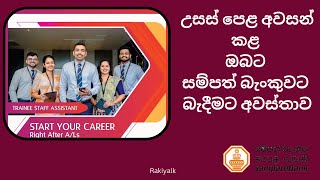 Sampath Bank Trainee Staff Assistant 2024 [upl. by Eartnoed]