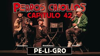 PERROS CRIOLLOS  PELIGRO CAP 42 [upl. by Novelc]