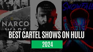 Best Drug Dealer TV Shows on Hulu  Best Cartel Shows on Hulu [upl. by Nadab]