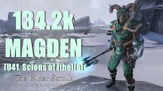 ESO  Magicka Warden 1342k PvE DPS Build  U41 Scions of Ithelia [upl. by Jahn445]