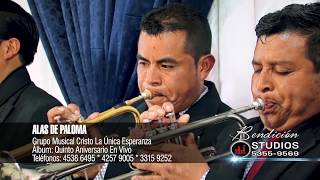 Alas De Paloma  Grupo Musical Cristo La Única Esperanza [upl. by Zerline]