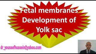 15 Fetal membranes  Yolk sac  Functions  Congenital anomalies of Vitellointestnial duct [upl. by Kym]