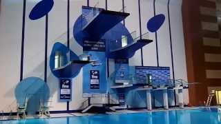 FINA World Series 2012 Dubai [upl. by Frohne]