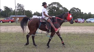 Standardbred Horse Racing at Texas Gum Springs Race Track [upl. by Klarrisa]