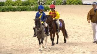 Shetland Pony Race [upl. by Auqinahs372]