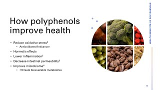 Health benefits of polyphenols How polyphenols improve health amp slow agerelated decline [upl. by Verity]