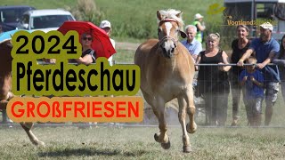 Pferdeschau Großfriesen 2024 pferde pferdekutsche pferdeshow [upl. by Llyrad]