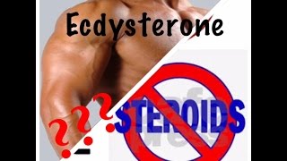 Beta Ecdysterone  the natural alternative to steroids [upl. by Lustick]