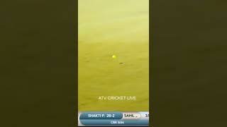 HPL DHANETI bollywood arijitsingh music love cricket wcaedits live [upl. by Colly480]