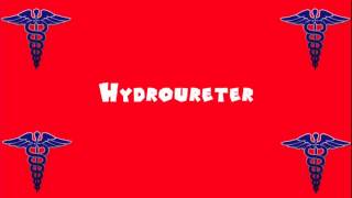 Pronounce Medical Words ― Hydroureter [upl. by Ennaillek742]