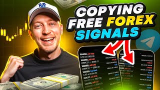 Copy Trading the BEST FREE Forex Signals on Telegram LIVE [upl. by Loella926]