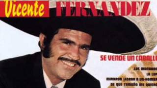 Vicente Fernandez De Que Tamaño Me Quieres [upl. by Eiramik492]