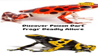 Discover Poison Dart Frogs Deadly Allure Wildlife Nature Frogs Rainforest Poison [upl. by Cordelie]