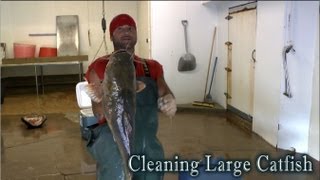 Speed Cleaning Flathead Catfish [upl. by Digdirb]