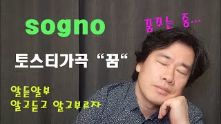 알듣알부sogno 토스티가곡꿈 가사해석 알고듣고 알고부르자 알듣알부​sogno​​tosti [upl. by Lauer]