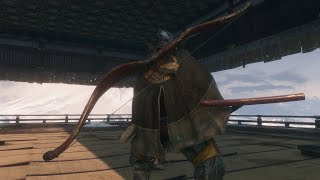 Sekiro Inner Genichiro PERSONAL RECORD NO HIT SPEEDRUN in 46 seconds with DRIP [upl. by Kikelia]