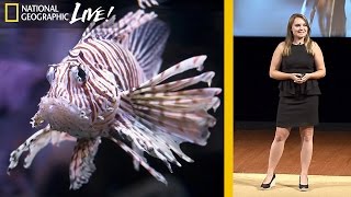 Why Lionfish Should Be Your Favorite Fish to Eat  Nat Geo Live [upl. by Jermyn57]