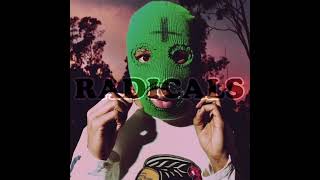 Tyler The Creator Radicals remix alternative intro [upl. by Graff855]