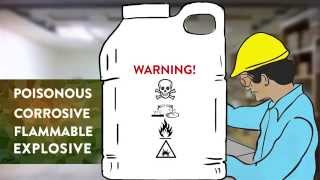 Training Video Safe use of Pesticides [upl. by Helbonna]