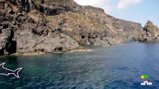 Tonino Pantelleria [upl. by Tjaden]