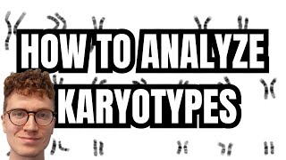 KARYOTYPE ANALYSIS [upl. by Leonidas]