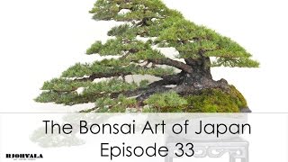 The Bonsai Art of Japan  Episode 33 [upl. by Adelice]