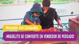 Miguelito se convierte en vendedor de pescado  Morandé con Compañía 2016 [upl. by Lunneta363]