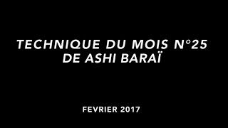 Technique du mois N°25 DE ASHI BARAï [upl. by Demodena212]