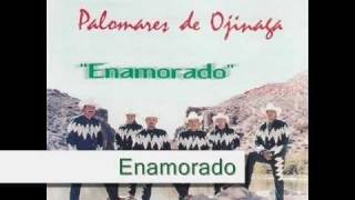 Los Palomares De Ojinaga Enamorado [upl. by Derwood]