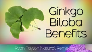 Ginkgo Biloba Benefits for Health [upl. by Roseanne129]