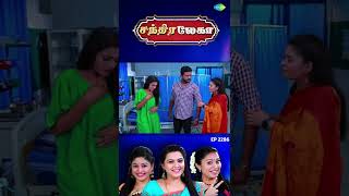 CHANDRALEKHA Serial  Episode 2286  Shwetha  Jai Dhanush  Nagashree  shorts ytshorts [upl. by Juditha]