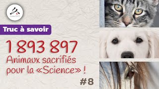 8  Lutilisation des animaux au nom de la quotSciencequot pose de nombreuses questions [upl. by Christophe]