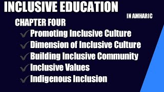 INCLUSIVENESS chapter 4Inclusive Values in amharicinclusivedesign [upl. by Flagler]