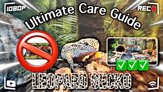 The Leopard Gecko ULTIMATE Care Guide  Setup New 2023 [upl. by Sacksen]