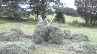 Hay in a Day  Part 2 [upl. by Bocyaj]