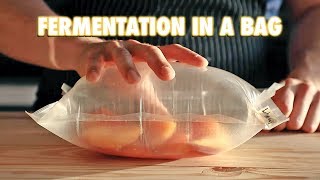 The Easiest Way To Ferment Any Fruit LactoFermentation [upl. by Rifkin707]