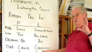 Prokaryotic vs eukaryotic [upl. by Oner]