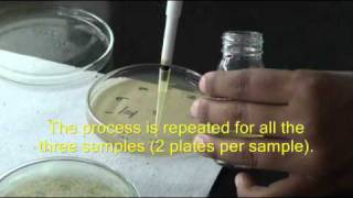 Inuse test for disinfectants [upl. by Ahseket708]