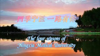 The four seasons of Ningxia Medical University [upl. by Carboni147]