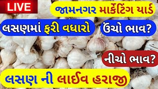 🔴નવા લસણ ના બજાર ભાવ જામનગર  19042024  Lasan na bhav Jamnagar  garlic rate today  लहसुन का भाव [upl. by Sissy]