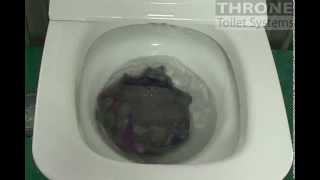 Throne toilet bidet flush test [upl. by Beyer165]