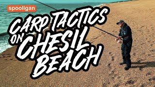 Carp Tactics On Chesil Beach  Spooligan  Sea Fishing UK  Prototype Bait amp Hybrid Rigs [upl. by Nah]