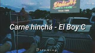 Carne hincha  El Boy C Lil Shany Letra [upl. by Nyleahs805]