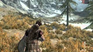 Skyrim quotLocuras en la Edad Mediaquot  Cap1 quotLos Animales me Odianquot [upl. by Neelram]