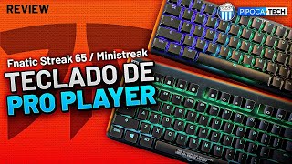 OS TECLADOS DA FNATIC SÃO REALMENTE BONS Unboxing do Fnatic Streak65 e Fnatic Ministreak [upl. by Denise]