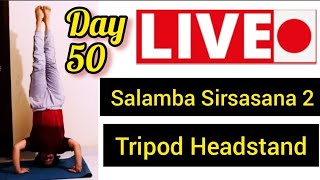 LiveSession50Tripod Headstand – Sambla Sirsasana 2OnlineYogaFlexibility Stretch Hathayoga [upl. by Fiore]